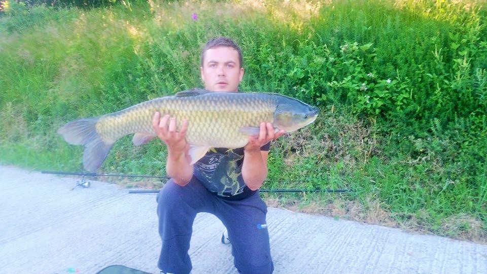 26_lb_Grass__carp_30.06.14