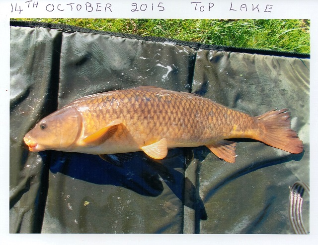Ted_October_Carp
